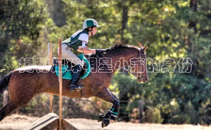 欧陆娱乐平台app下载安装中海达揭秘足球明星小蒲的身份