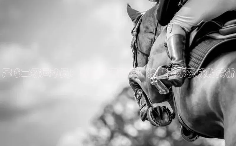 欧陆娱乐平台登录网易足球二级运动员：职业发展路径、技能要求及成就赏析