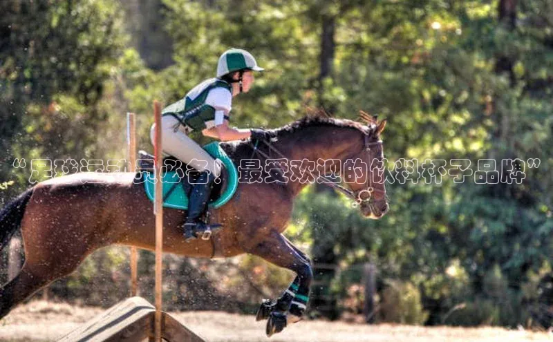 欧陆娱乐官网金山办公“足球运动员必备！最受欢迎的饮料杯子品牌”