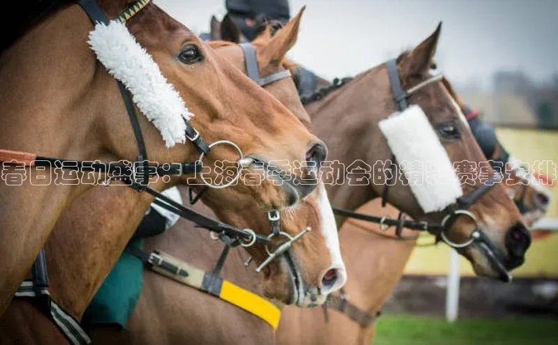 欧陆娱乐app下载安装小度商城春日运动盛事：上海春季运动会的精彩赛事安排