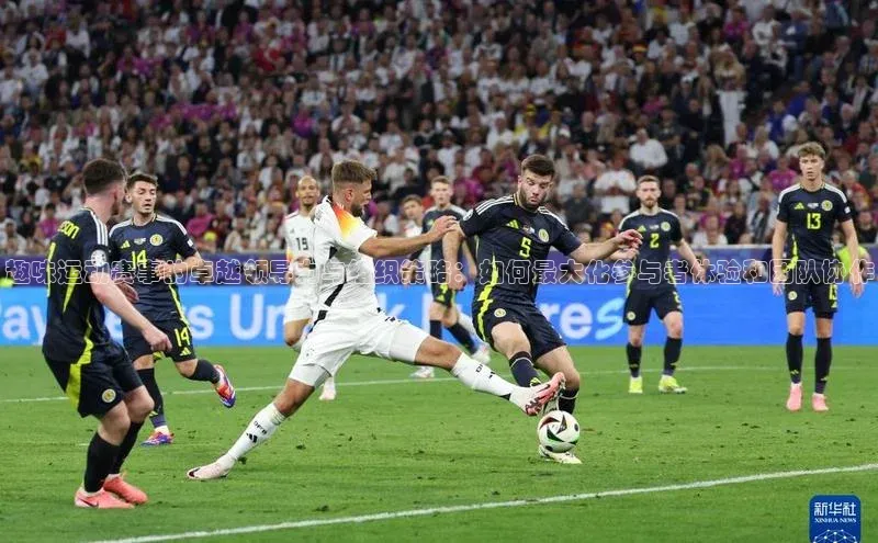 欧陆注册APP官方下载雷柏科技趣味运动赛事的卓越领导力与组织策略：如何最大化参与者体验和团队协作