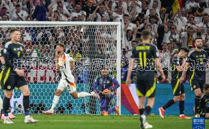 ：运动赛事中最高薪球员的收入内幕