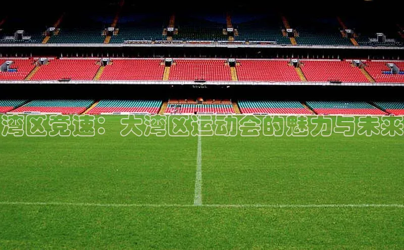湾区竞速：大湾区运动会的魅力与未来