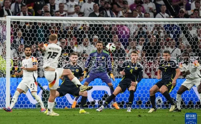 运动盛宴：精彩体育赛事的深度与解说