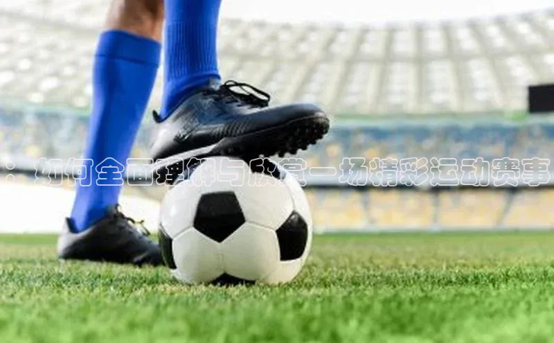 ：如何全面理解与欣赏一场精彩运动赛事