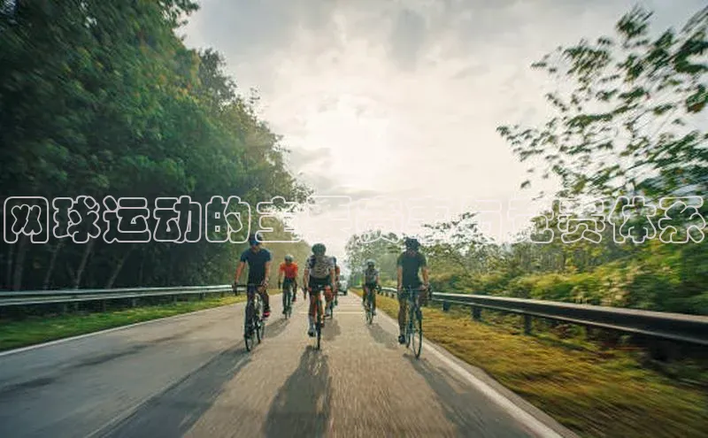 网球运动的主要赛事与竞赛体系