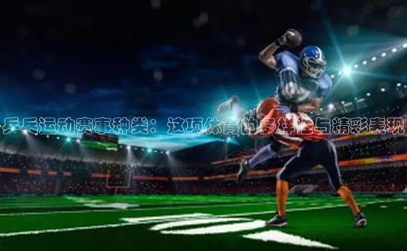 乒乓运动赛事种类：这项体育的多样性与精彩表现