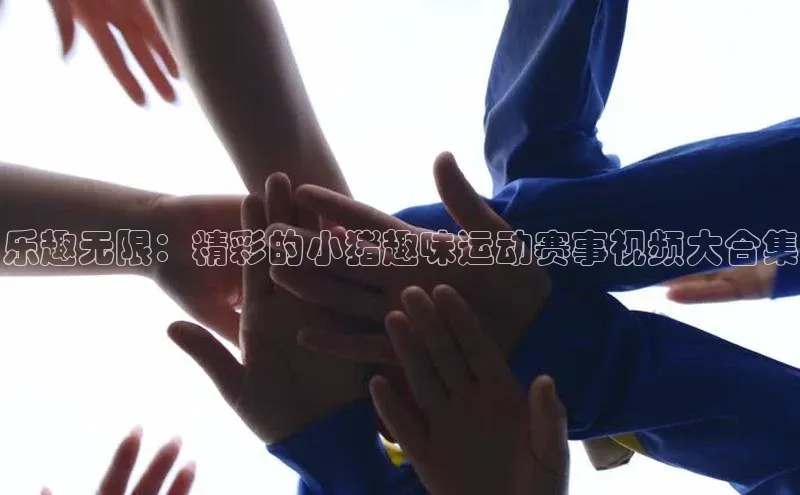 乐趣无限：精彩的小猪趣味运动赛事视频大合集