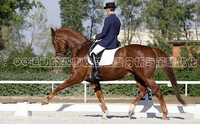 ：QQ运动的赛事收益模型分析与策略优化